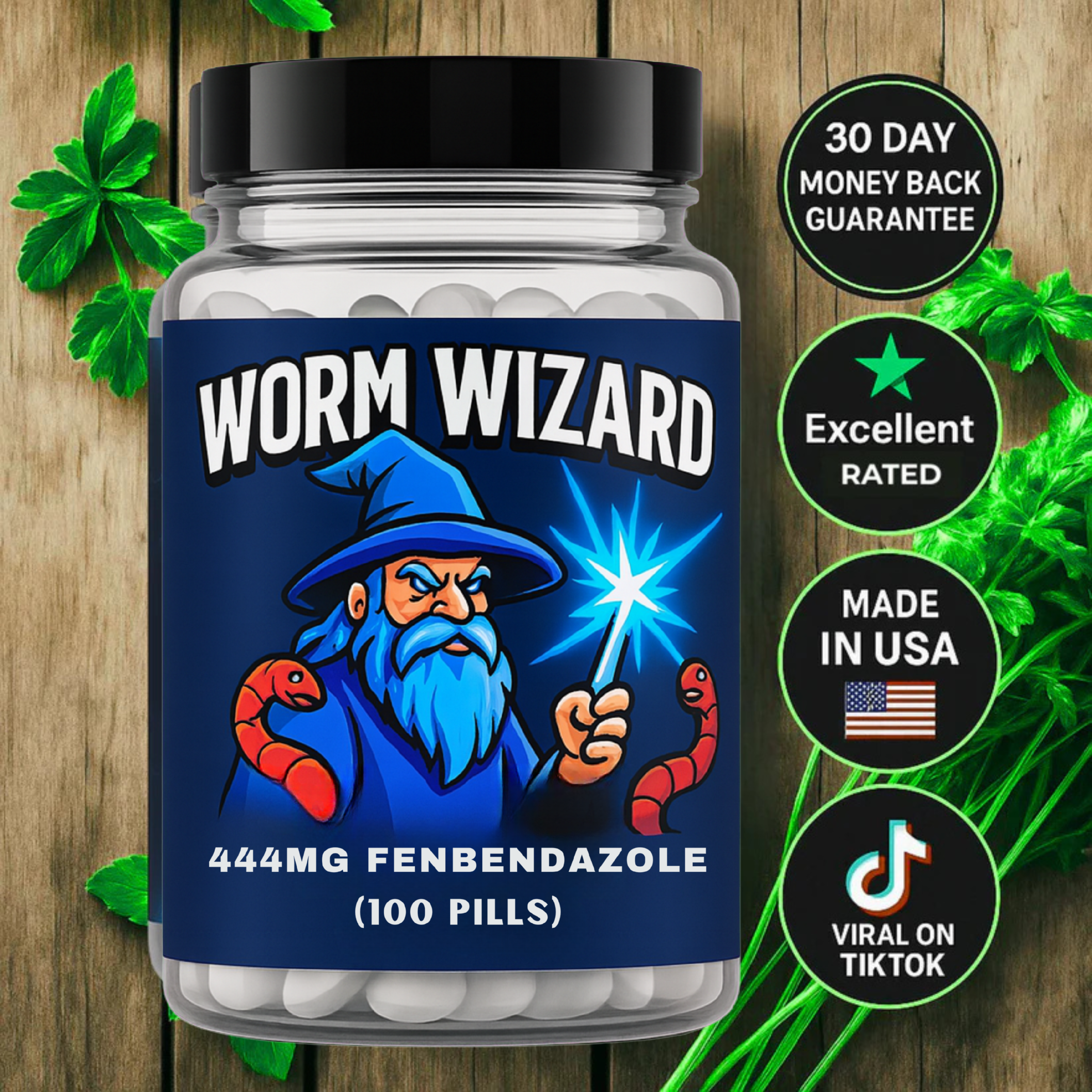 Worm Wizard 2 - 444mg FENBENDAZOLE (100)